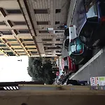 Domus Roma